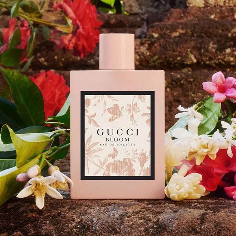 gucci bloom note olfattive|Gucci Bloom perfume smell.